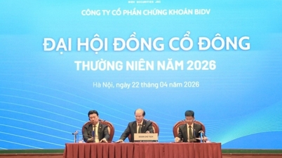 تهدف شركة BIDV للأوراق المالية إلى تحقيق ربح قدره 700 مليار دونغ فيتنامي في عام 2026.