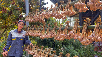 Từ vườn rừng bản Thổ