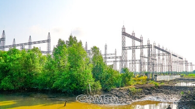 Đóng điện giai đoạn 1 tuyến 110 kV Năm Căn, tăng cường ổn định điện cho khu vực phía Nam Cà Mau