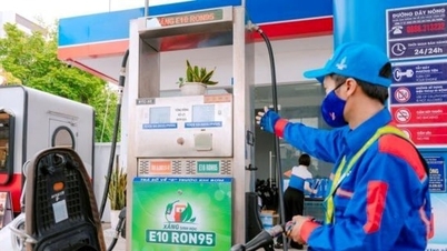 Benzín E10 široce dostupný po celé zemi: Nezbytný krok v plánu energetické transformace.