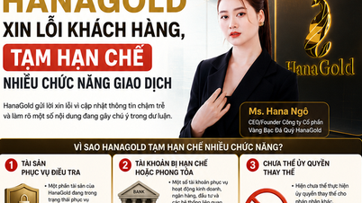 Hana Gold beklager overfor investorene og forklarer hvorfor mange funksjoner i applikasjonen forblir midlertidig deaktivert.