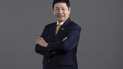 Japonia îi acordă președintelui FPT, Truong Gia Binh, Ordinul Soarelui Răsare.