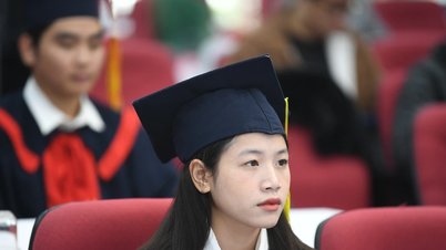 Wer hat die Befugnis, eine Universität aufzulösen?