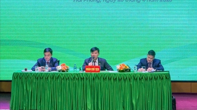 A Tien Phong Plastic 7330 milliárd VND bevételt kíván elérni 2026-ra.