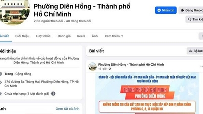 ホーチミン市の区やコミューンのファンページのリーチを拡大する。