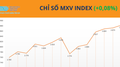 السوق مختلط، ومؤشر MXV متقلب.