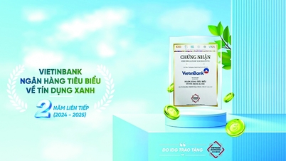 Phát huy vai trò tiên phong, dẫn dắt của DNNN nhìn từ VietinBank