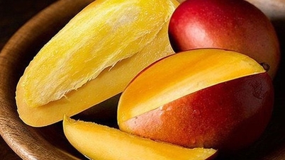 Medizinische Verwendung von Mango