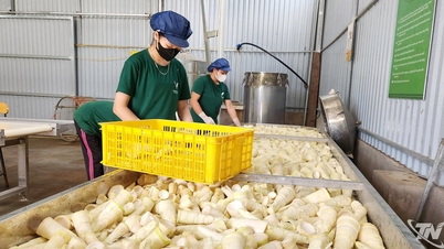 協同組合的な連携は、農産物の価値を高める。
