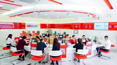 HDBank має міцну капітальну базу: CAR 16,2%, LDR 70%, прибуток 6,107 млрд VND, рейтинг Moody's "Позитивний".