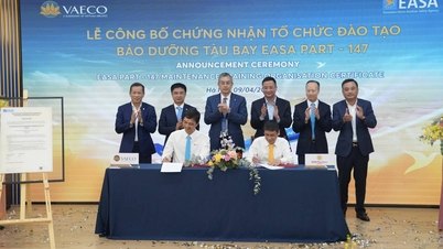 In Vietnam esiste un'organizzazione che fornisce corsi di formazione sulla manutenzione degli aeromobili secondo gli standard europei.