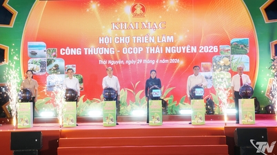 Программа OCOP отраслевой и торговой выставки Thai Nguyen 2026: расширение связей, стимулирование потребления продукции.
