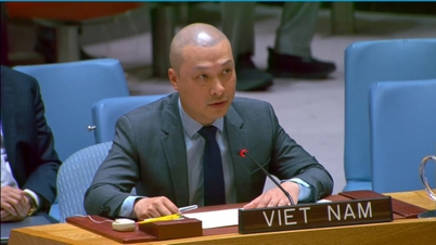 Việt Nam kêu gọi giảm leo thang, bảo vệ thường dân và hạ tầng dân sự tại Trung Đông và tiếp tục thúc đẩy giải pháp hai Nhà nước