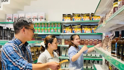 Gia Lai: Setiap wad perlu melabur dalam sekurang-kurangnya satu kedai mudah alih untuk menjual produk OCOP.
