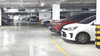 Gia Lai: Regulations on the economic and technical characteristics of parking services invested with state budget funds.