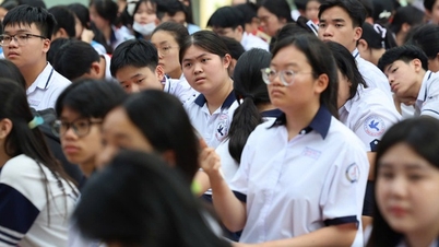 Ho Chi Minh şehrindeki tüm okullarda 10. sınıf için rekabet oranlarının detayları: Giriş sınavıyla kabulün garanti edildiği okullar.
