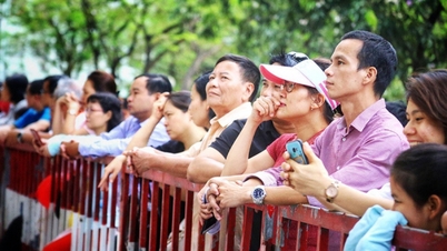 Phụ huynh bối rối chưa biết con vào trường nào khi phân tuyến bằng bản đồ số ở Hà Nội