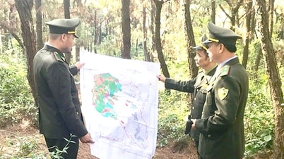 Ketua Jabatan Perlindungan Hutan Hanoi, Le Xuan Thang: