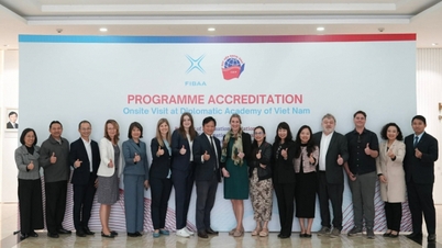 Všech 8 bakalářských programů splňuje standardy FIBAA: Diplomatická akademie potvrzuje mezinárodní standardy kvality vzdělávání.