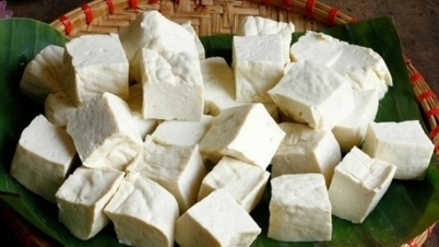 Benefícios inesperados do tofu: desde o fortalecimento dos ossos até a prevenção do câncer.