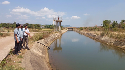 Gia Lai Irrigation Works Exploitation Company Limited: Regulación proactiva y garantía del suministro de agua para riego.