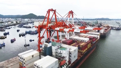 Gia Lai entwickelt seine maritime Wirtschaft in eine grüne und nachhaltige Richtung.