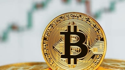 Jaka jest polityka podatkowa dotycząca transferu aktywów kryptowalutowych?