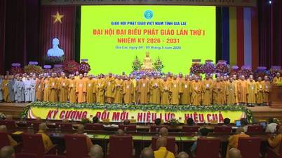 Il venerabile Thich Tam Manh è stato eletto presidente del consiglio direttivo dell'Associazione buddista vietnamita nella provincia di Gia Lai.