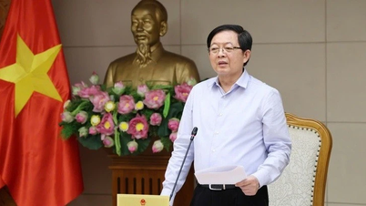 Visestatsminister Ho Quoc Dung leder arbeidsgruppen for strategisk teknologiutvikling.