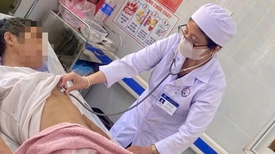 Várias pessoas foram hospitalizadas após comerem cigarras; médicos alertam para os riscos.