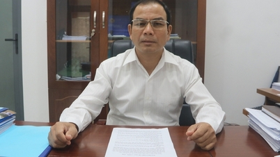 দা নাং সিটি পার্টি কমিটি ট্রা ট্যাপ কম্যুন পার্টি কমিটির সচিবকে শাস্তি প্রদান করেছে