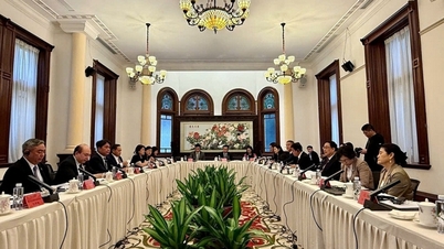 Konsul Jeneral Vietnam di Guangzhou menghadiri Seminar Pertukaran Ekonomi dan Perdagangan Guangdong-ASEAN.