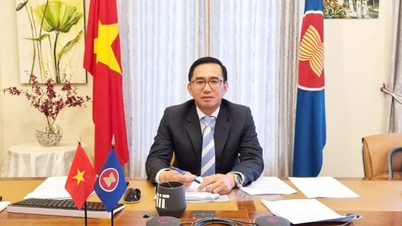 Il Vietnam auspica uno sviluppo sostenibile ed efficace a lungo termine delle relazioni tra ASEAN e UE, nell'interesse della pace, della sicurezza e dello sviluppo.