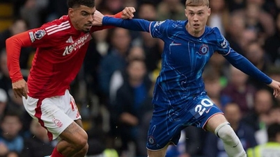 Ramalan perlawanan untuk Chelsea vs Nottingham Forest: Pasukan tuan rumah akan bangkit semula.