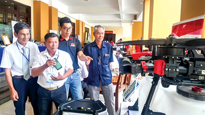 Lezione 3: Le strategie dei "giganti" e le soluzioni per la regione del delta del Mekong
