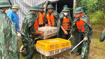 Traditionelle Werte sind es, die die heldenhafte An Lao Youth Union stark machen.