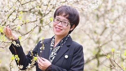 功労芸術家ミン・アイン：密かに美術コンクールに参加していた少女から、3期務めた国会議員へ