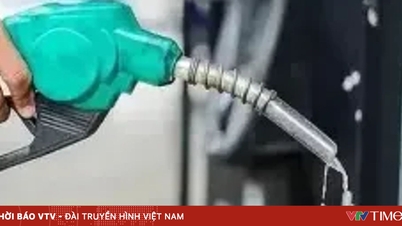 Έκδοση ψηφίσματος σχετικά με τους φόρους στη βενζίνη και τα καύσιμα αεροπορίας.