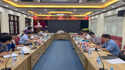 Kontrola stanu realizacji projektu linii przesyłowej 110 kV od stacji elektroenergetycznej 110 kV Lang Son do elektrowni cieplnej Na Duong, projektu elektrowni cieplnej Na Duong II i współpraca z firmą Na Duong Thermal Power Company - TKV.