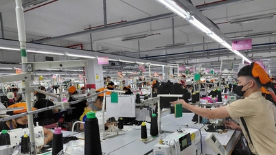 Podniky s přímými zahraničními investicemi a výzva efektivního využívání energie - Závěrečná část: Ponaučení pro vietnamské podniky