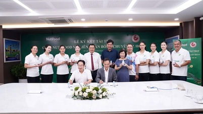 A equipe feminina de vôlei da cidade de Ho Chi Minh recebe um reforço.