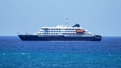 Um surto de hantavírus em um navio de cruzeiro levou a OMS a alertar sobre o risco de contaminação cruzada.