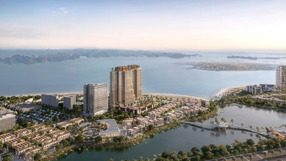 Aria-öböl: A központ, amely Quang Ninh fejlődésének új korszakát nyitja meg.