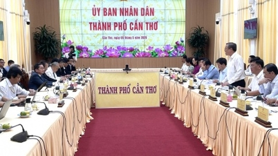 CT Group mencadangkan kerjasama dengan Bandar Can Tho dalam beberapa bidang utama.