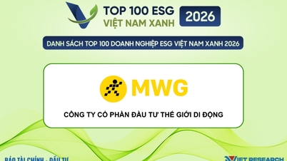 Společnost MWG se v roce 2026 umístila mezi 100 nejlepšími zelenými ESG podniky ve Vietnamu.