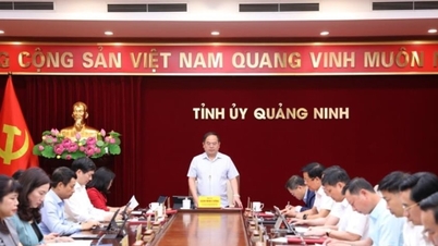 Quang Ninh își propune să finalizeze practic defrișările pentru proiecte cheie până în septembrie.