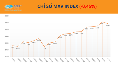 MXV-Index បានបញ្ចប់ការឈ្នះជាប់ៗគ្នាចំនួន ១១ វគ្គរបស់ខ្លួន។