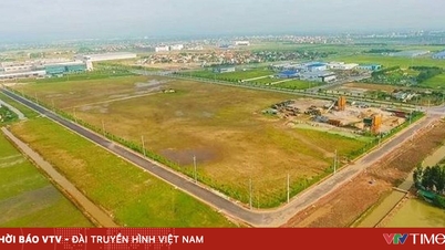 Упростить процедуру расчета платы за пользование землей для граждан.