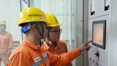 Vietnam Electricity Development Corporation: Strengthening stability, aiming for sustainable development.