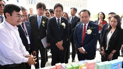 De nombreuses activités ont été organisées à l'occasion de la Journée vietnamienne de la science, de la technologie et de l'innovation.